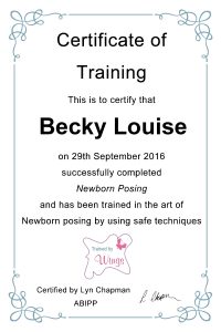 certificate-of-training-becky-louise